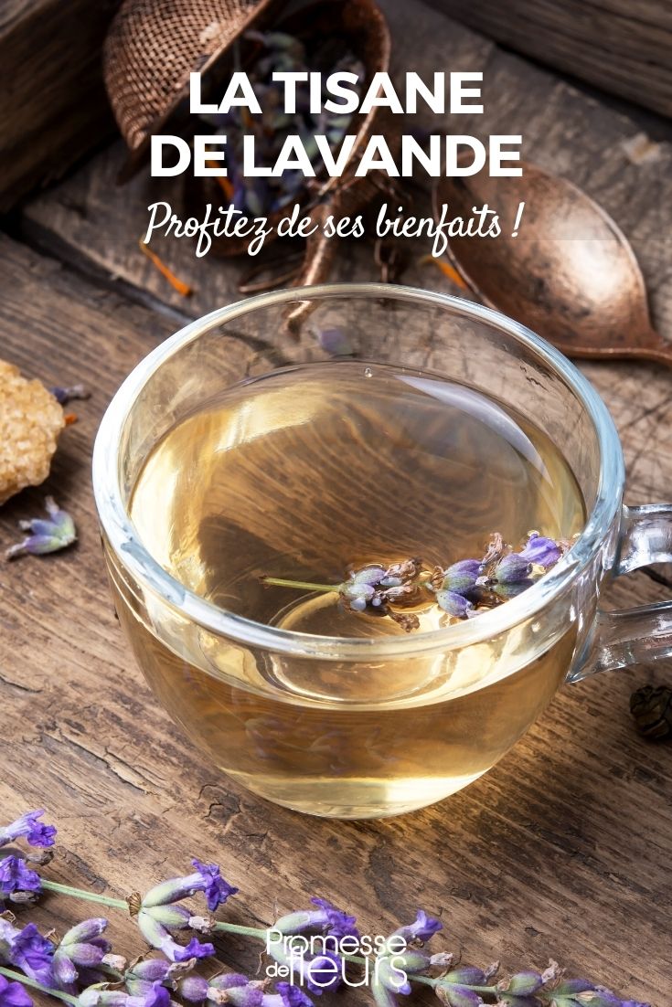 Tisane fait maison - Kit cadeau de graines avec 6 variétés d