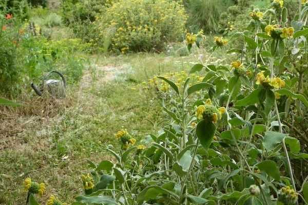 J'ai visité ... le jardin de la grille, un jardin sans arrosage