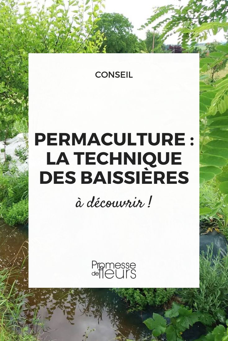 baissière swale noue permaculture