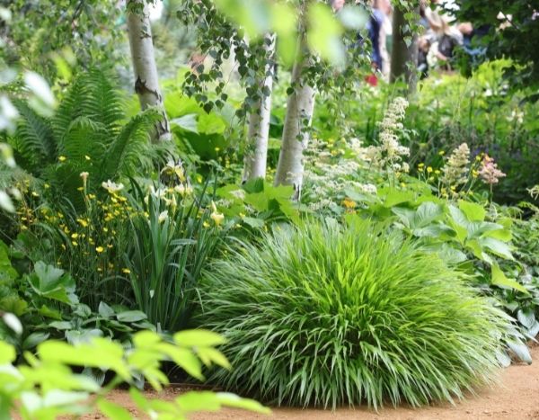 Chelsea Flower Show 2022 : jardin sanctuaire et réensauvagement