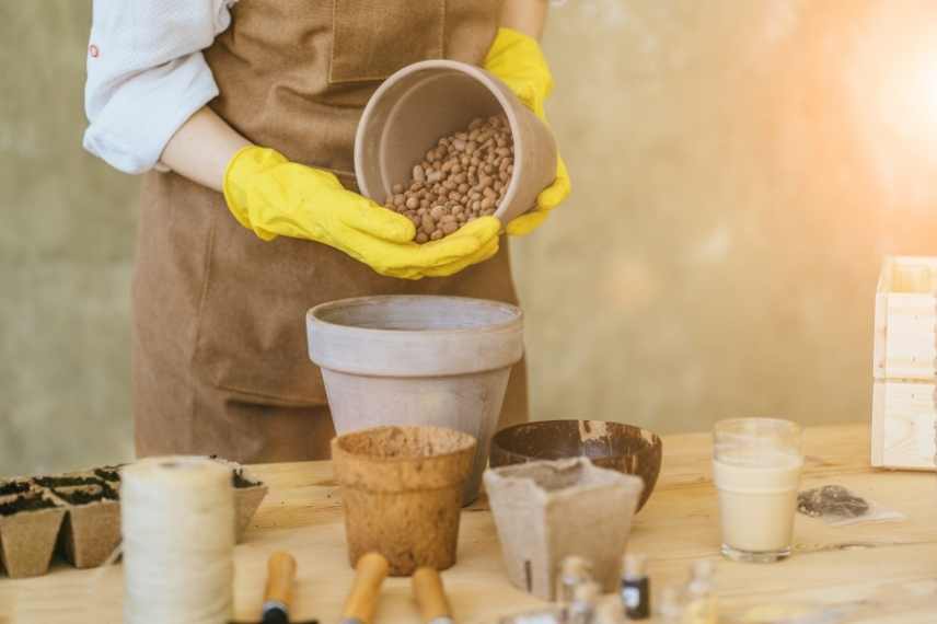 Comment réussir potée de plantes vivaces, plantation vivaces pot balcon terrasse