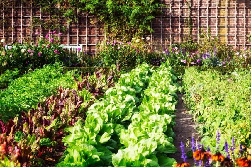 choisir emplacement potager région nord