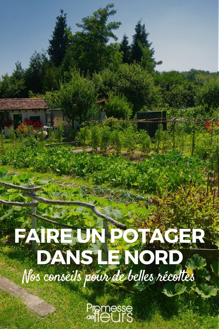 Protection de jardinage pour plantes, semis, potagers, tunnel de culture en  filet léger idéal pour les jardins : : Jardin