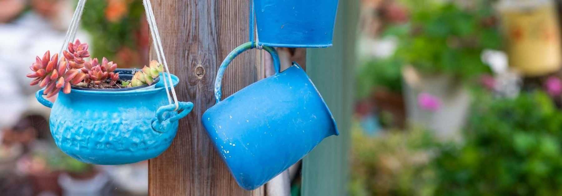 Idée déco : des plantes dans des contenants insolites - Promesse de Fleurs