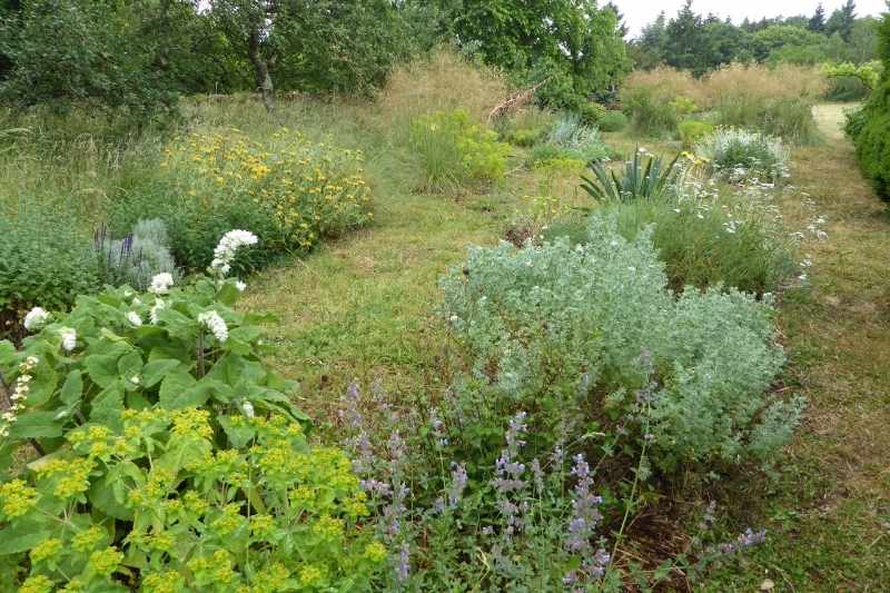 Jardin de la grille, jardin sans arrosage, jardin plantes résistant secheresse