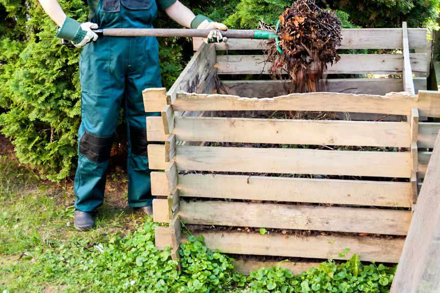 jardinage potager en mai