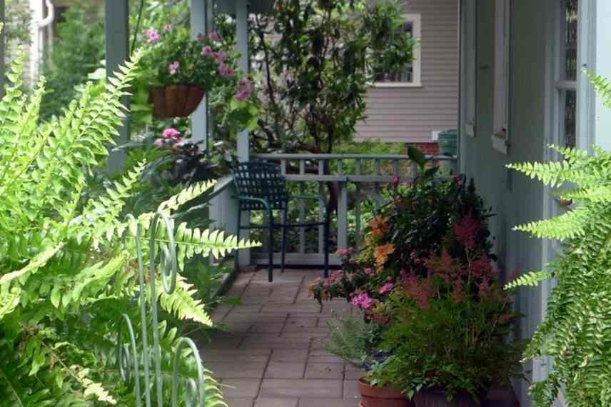 Comment réussir potée de plantes vivaces, plantation vivaces pot balcon terrasse