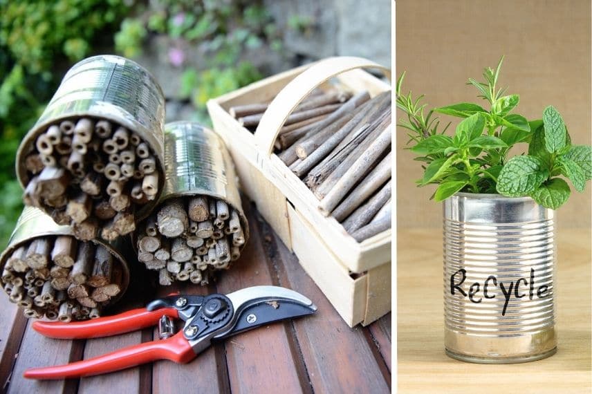 recycler au jardin - la boite de conserve