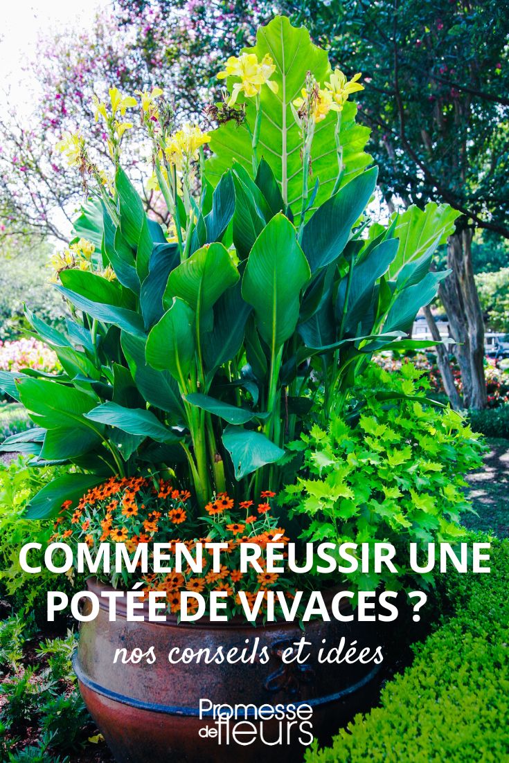 Tuto : réalisez une jardinière originale pour vos plantes