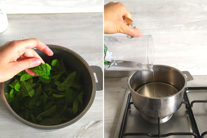 recette sirop de menthe