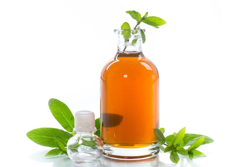 Sirop Menthe pour Mojito maison - Fabriqué en France - Achat / Vente 