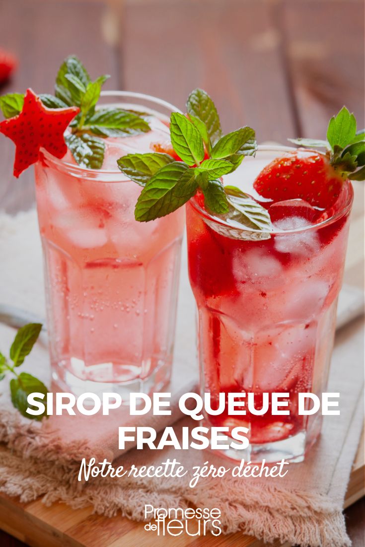 sirop queues de fraises