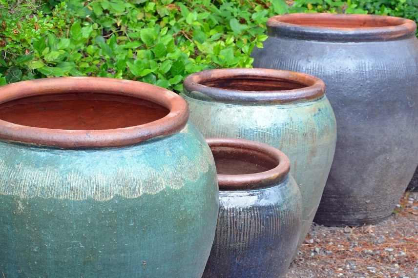 Comment réussir potée de plantes vivaces, plantation vivaces pot balcon terrasse