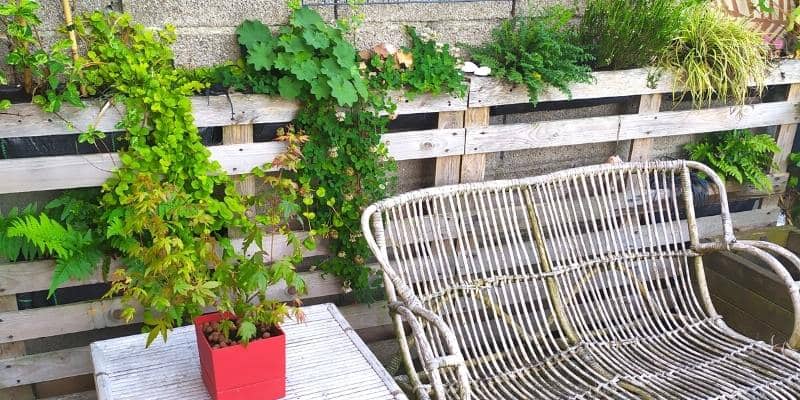 Tuto : fabriquez vous-même votre support de plante grimpante - M6 Deco.fr