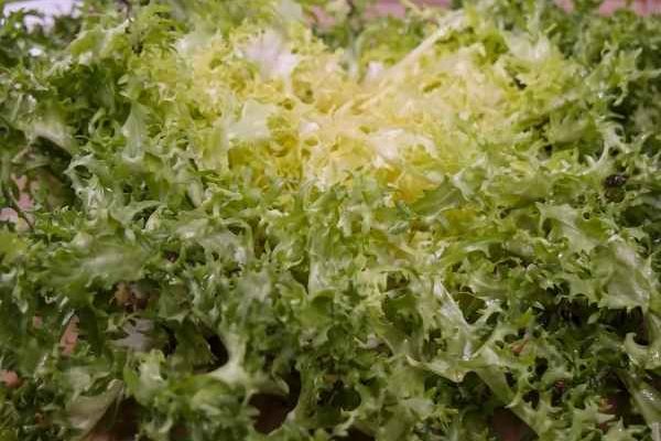 Comment blanchir les salades d'hiver ?