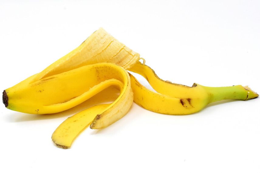 utiliser la banane au jardin