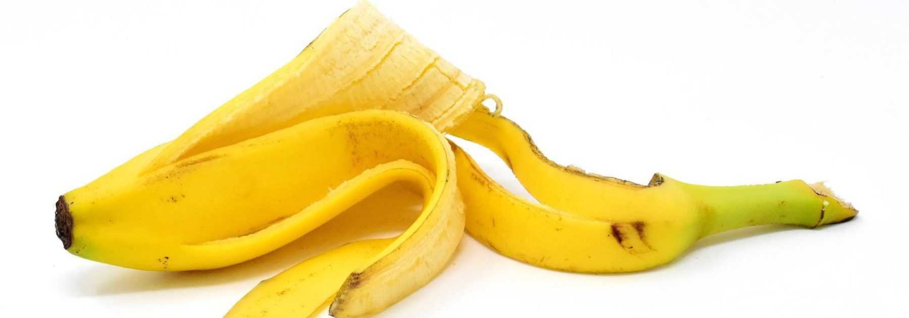 Zéro déchet : la peau de banane au jardin
