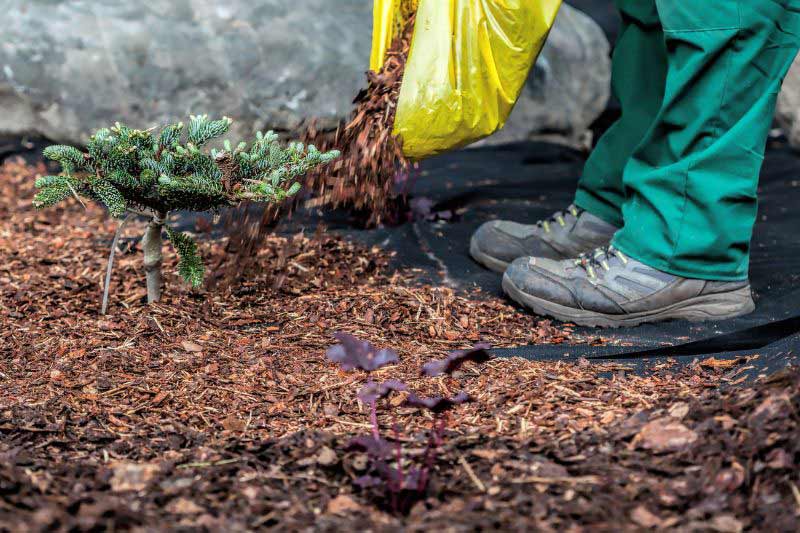 Comment créer un parterre de fleurs, Leaderplant - Apprendre à jardiner