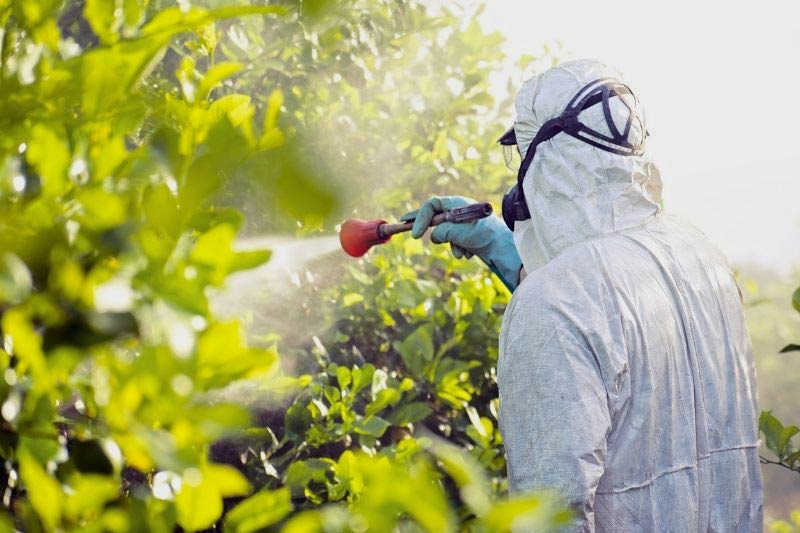 loi Labbé interdiction des pesticides