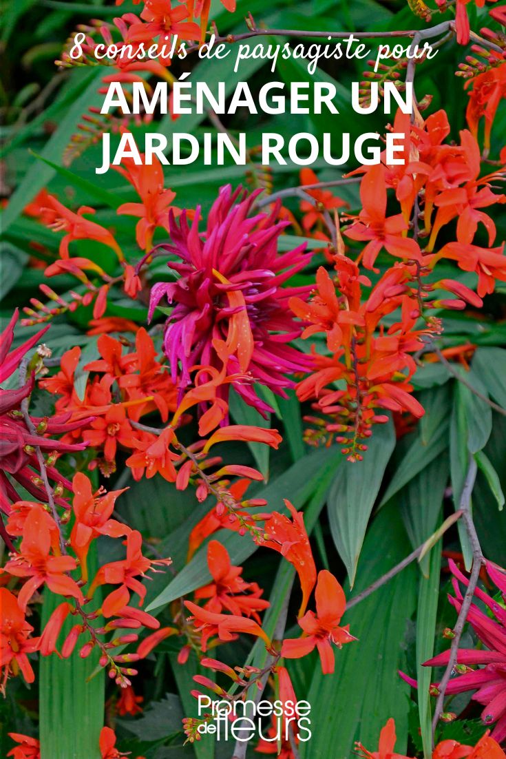 créer un jardin rouge