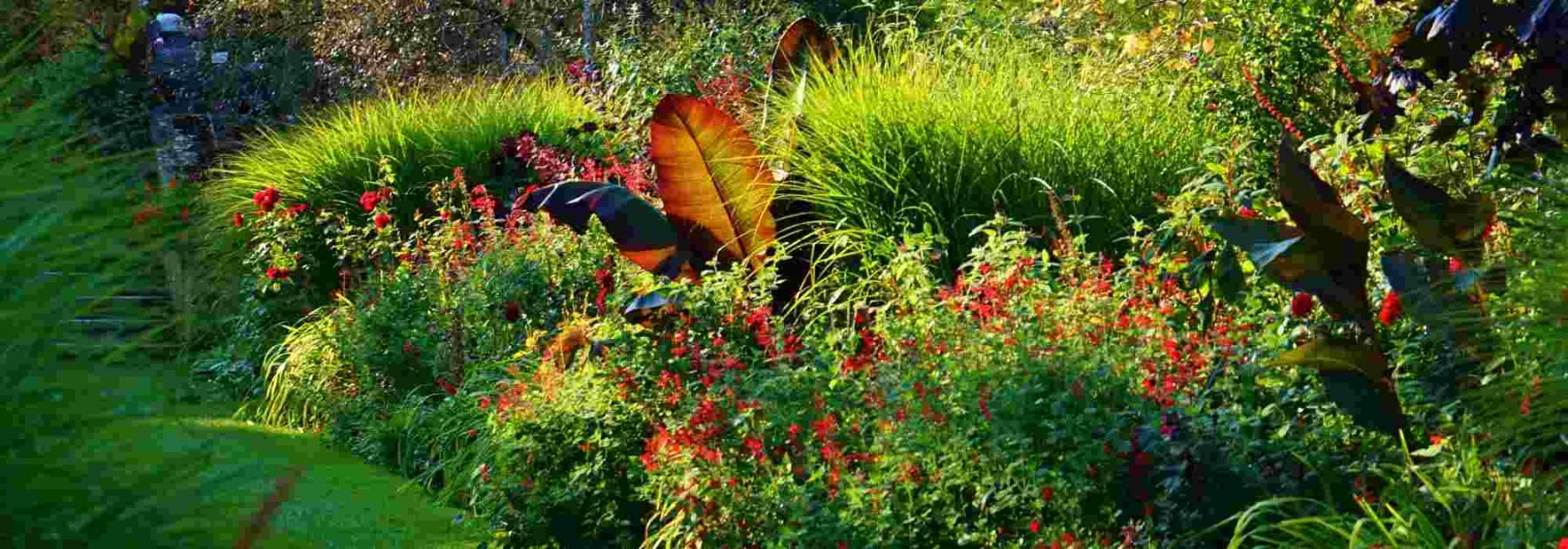 8 conseils de paysagiste pour aménager un jardin rouge