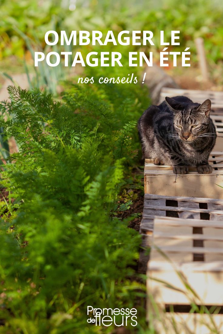 Mini potager en ville : nos idées DIY - Marie Claire