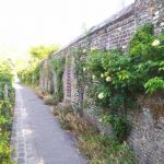 Le chemin des remparts de Cassel, une balade à la senteur des roses