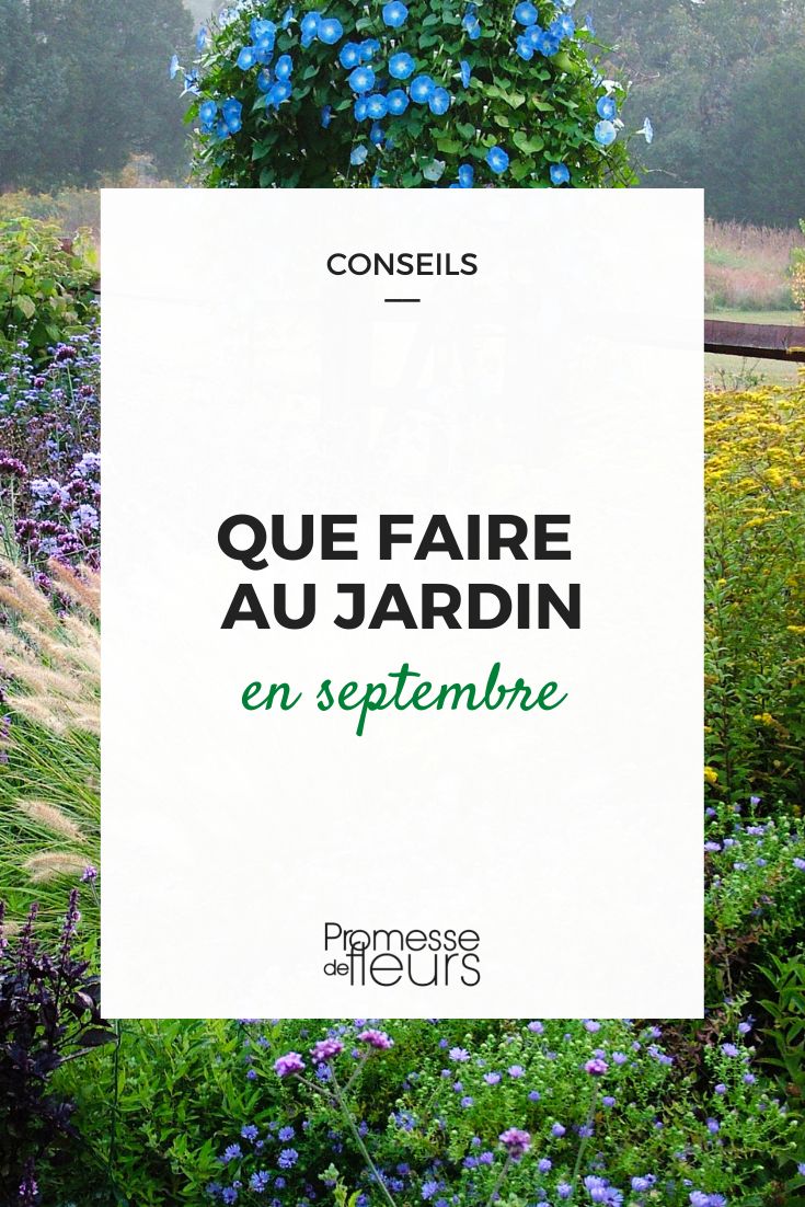 travaux jardin septembre