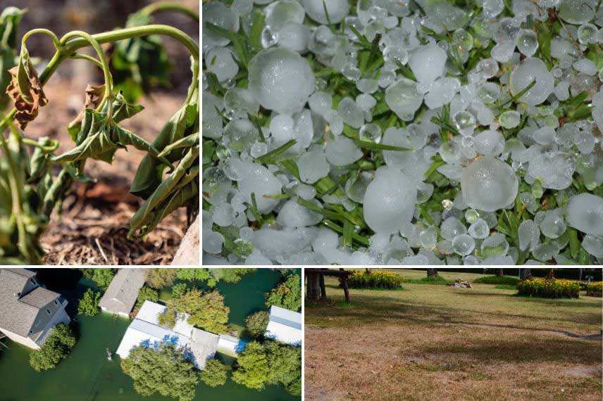 changement climatique au jardin