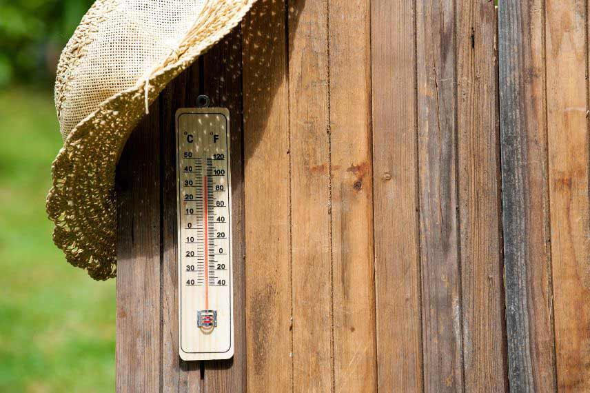 jardin et changement climatique