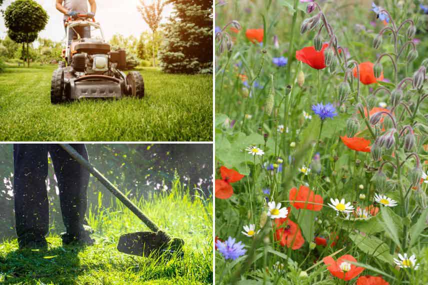 jardin et changement climatique