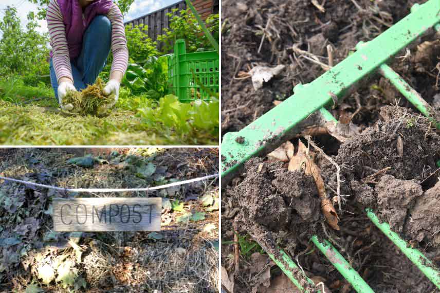 jardin et changement climatique