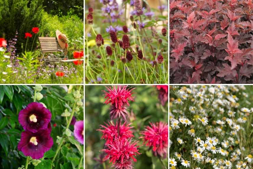 jardin rouge aménager, créer creation jardin rouge, idées jardin rouge, massif plantes rouges,