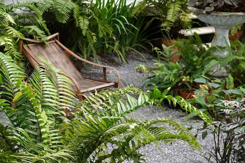 Aménager un jardin secret - Promesse de Fleurs