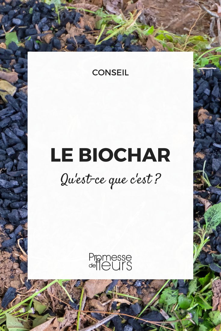 utiliser le Biochar au jardin