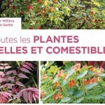 Toutes les plantes belles et comestibles de Didier Willery et Pascal Garbe, Editions Ulmer