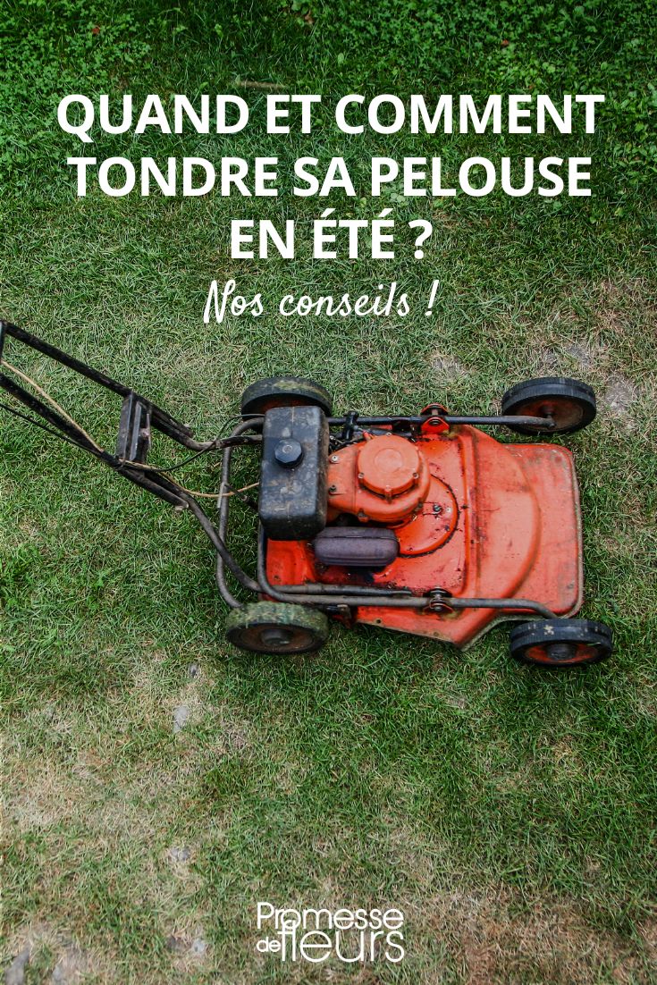 Bien choisir sa tondeuse à gazon : nos conseils