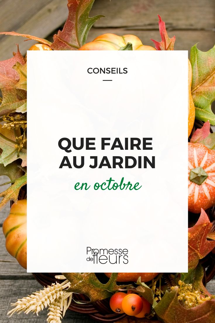 travaux de jardinage octobre