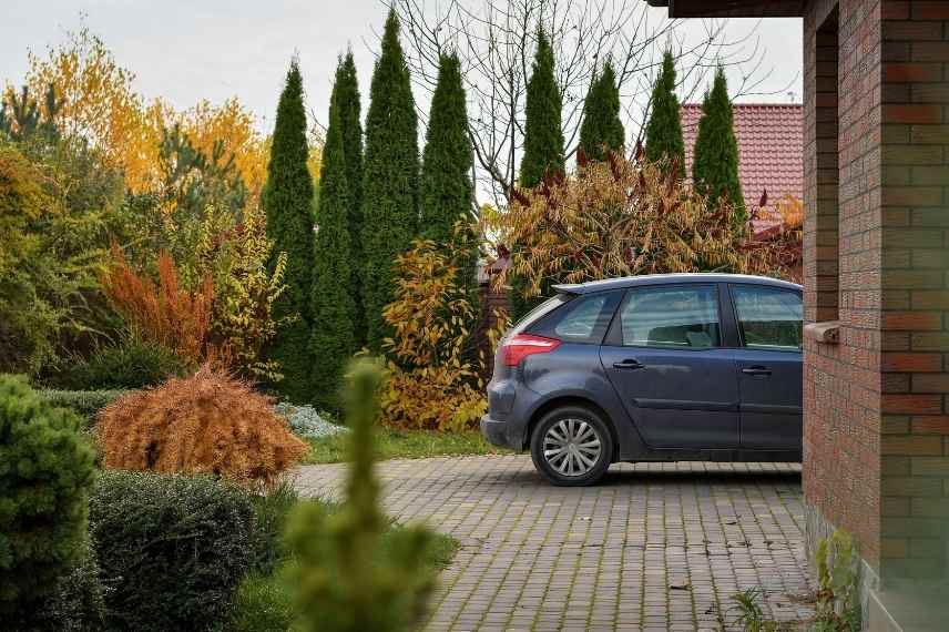 aménager entrée allée de garage vegetaux plantes arbustes