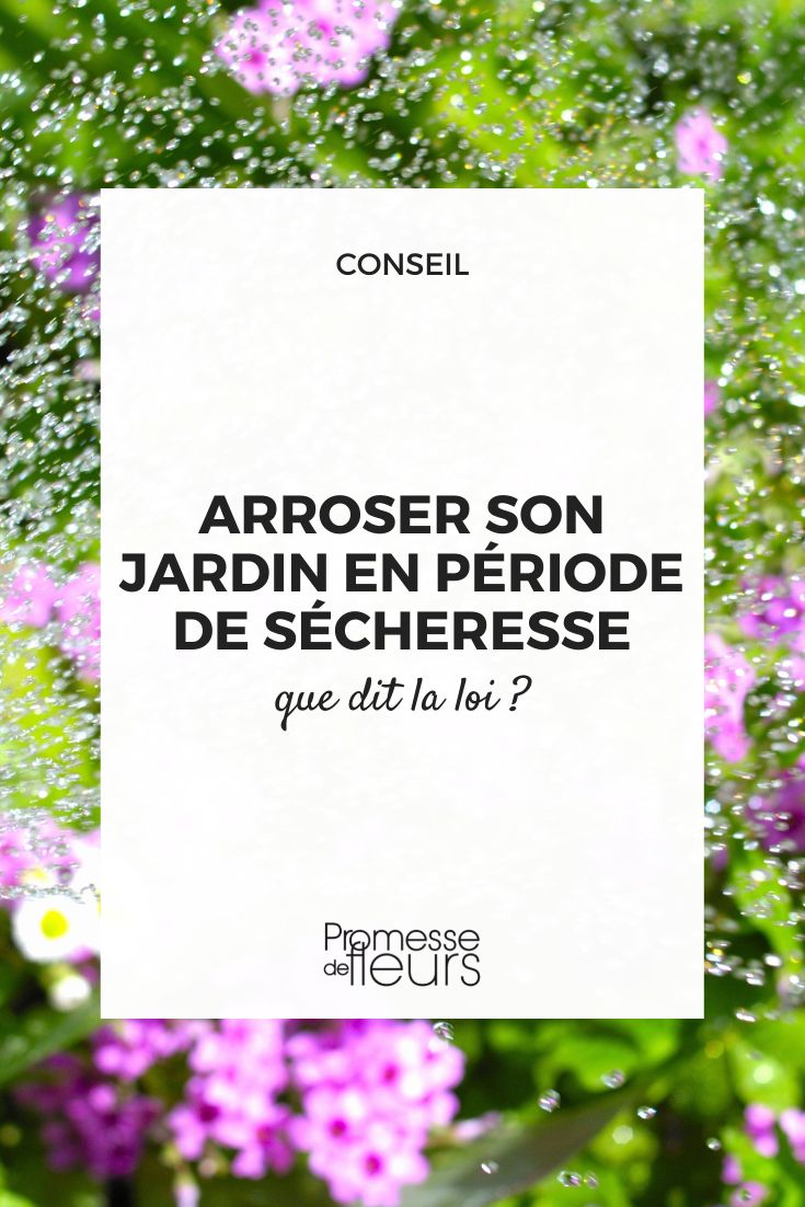 arroser son jardin en période de sécheresse que dit la loi