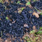 Le Biochar : qu'est-ce que c'est ?