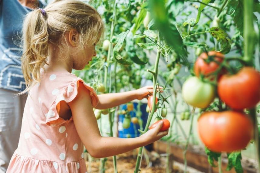 enfant et potager