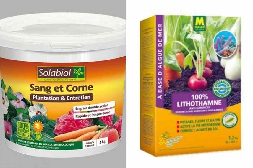 jardiner ecoresponsable, jardiner ecologie, jardinage ecoresponsable