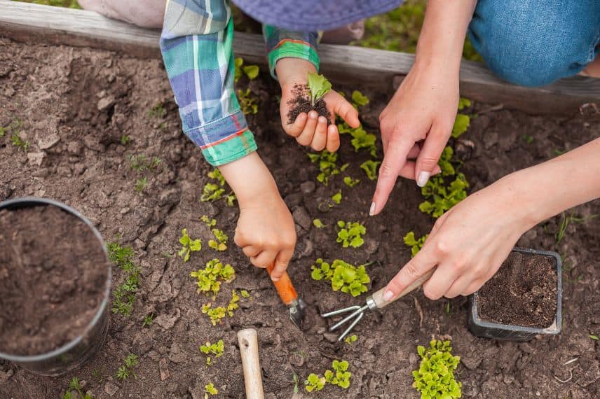 des ateliers de jardinage avec les enfants