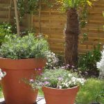 Comment disposer les pots sur une terrasse ?