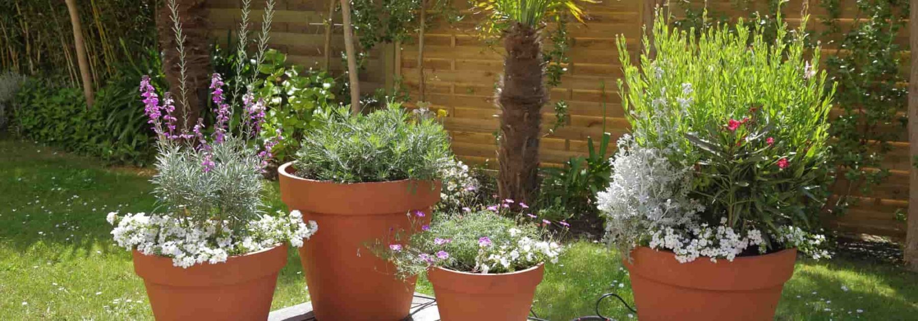 Pots et jardinières dans le jardin: nos meilleures idées déco