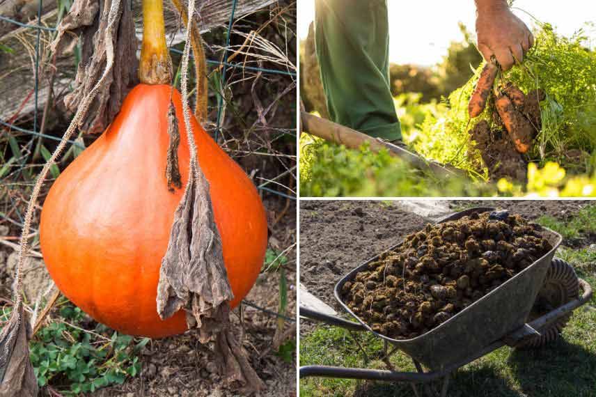 jardinage octobre