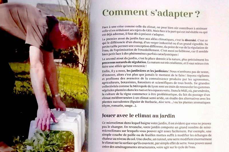 Les secrets d'un terrarium réussi - Jardinier paresseux