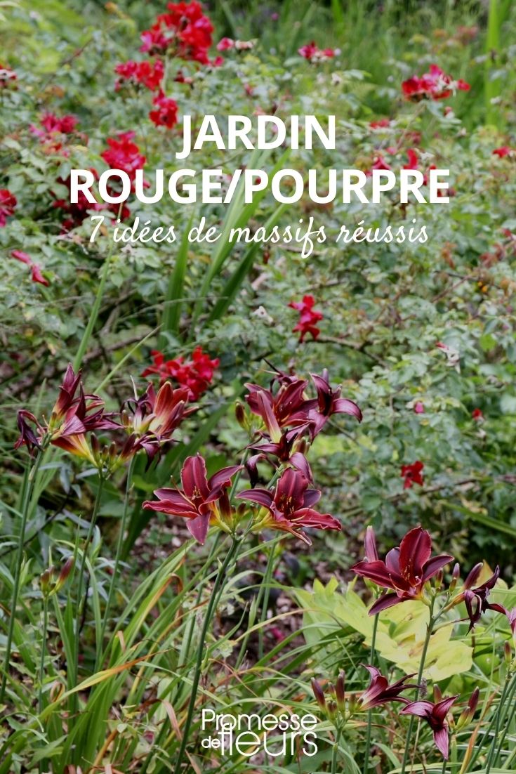 jardin rouge pourpre conseils et idees