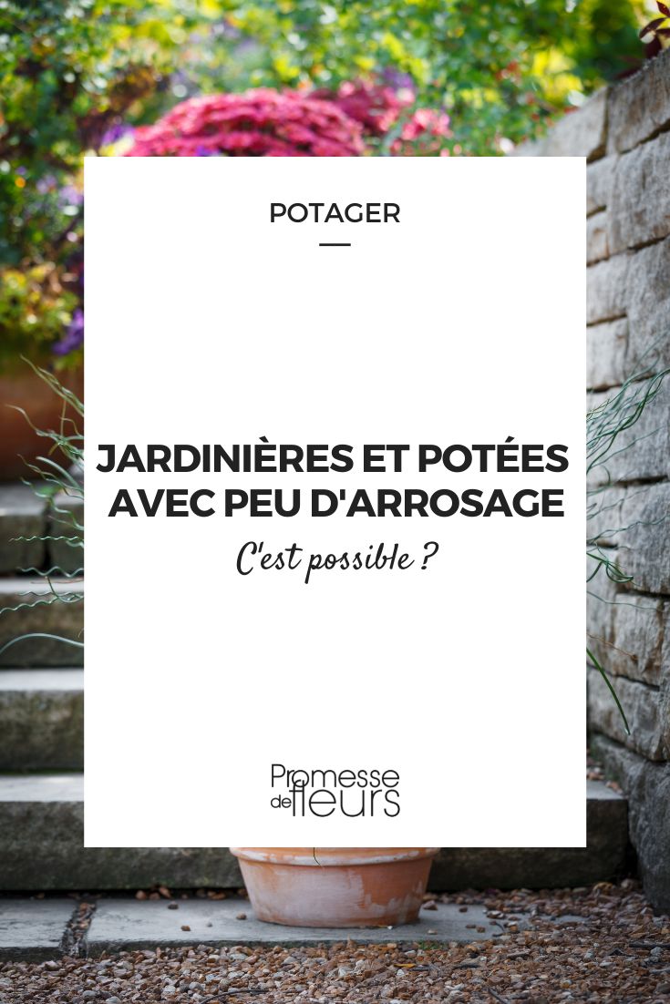 jardiniere et potees avec peu d'arrosage